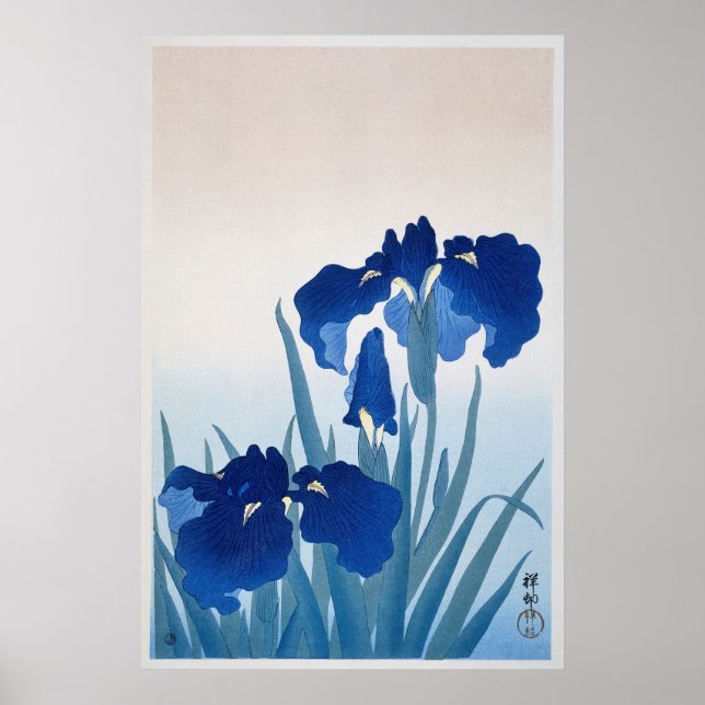 Poster Illustration vintage Iris Flowers (Devant)