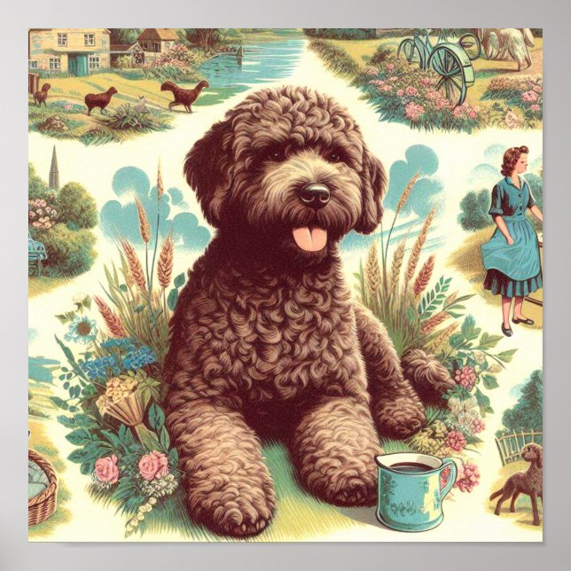Poster Illustration vintage Lagotto Romagnolo (Devant)