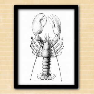 Poster Illustration vintage noire et blanche du homard