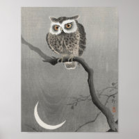 Illustration vintage Owl