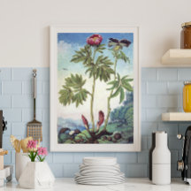 Illustration vintage Pastel Watercolor Peony