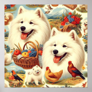 Poster Illustration vintage Samoyed Dog