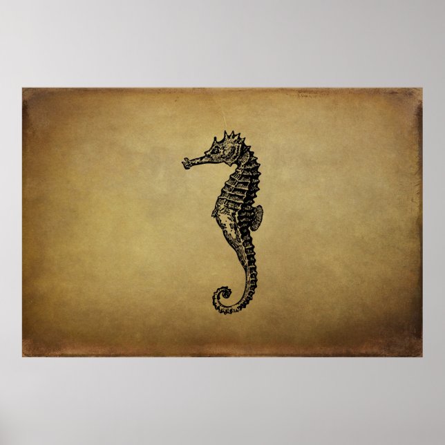 Poster Illustration vintage Seahorse (Devant)