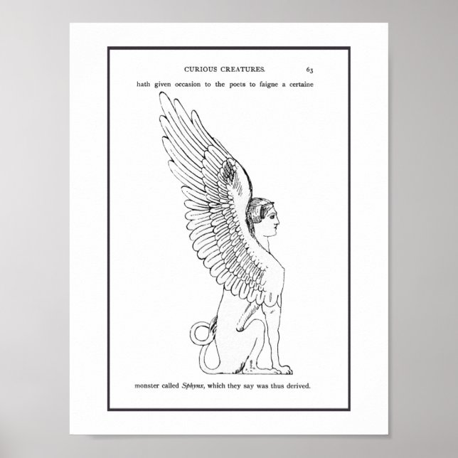 Poster Illustration vintage Sphinx (Devant)