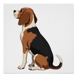 Poster Illustration vue arrière du chien Beagle vintage A