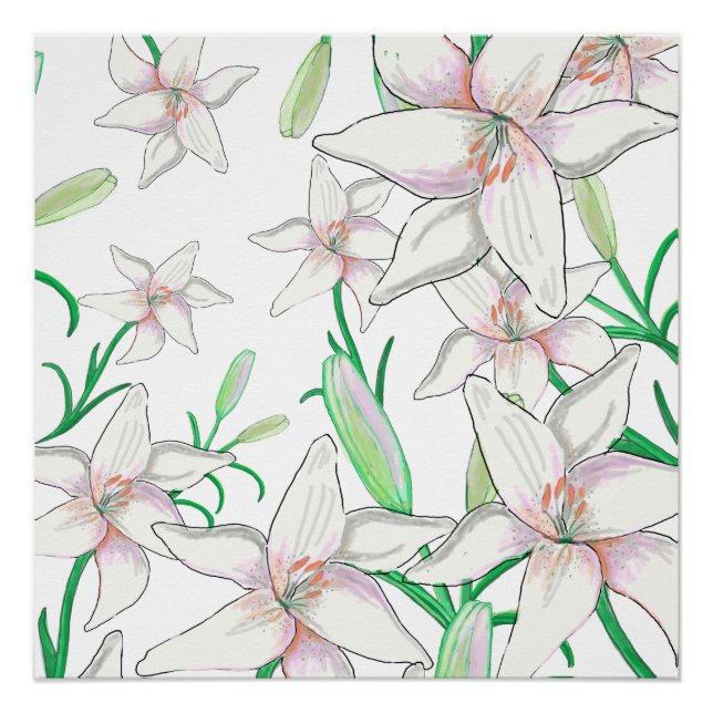 Poster Illustration White Lilies (Devant)