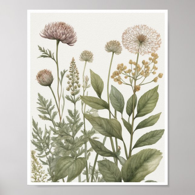 Poster illustrations botaniques texture motif complexe (Devant)