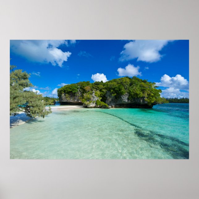 Poster Îlot rocheux sur la plage (Devant)