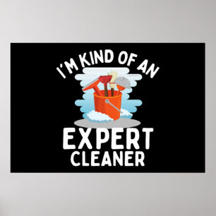 Poster I'm Kind of An Expert Housekeeping Novelty