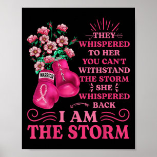 Poster Im Le Guerrier De La Boxe De Tempête Pink Ribbon F