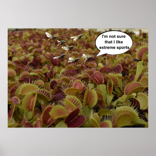 Poster I'm not sure I like extreme sport. (Devant)