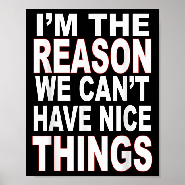 Poster I'm The Reason We Can't Have Nice Things Funny  (Devant)