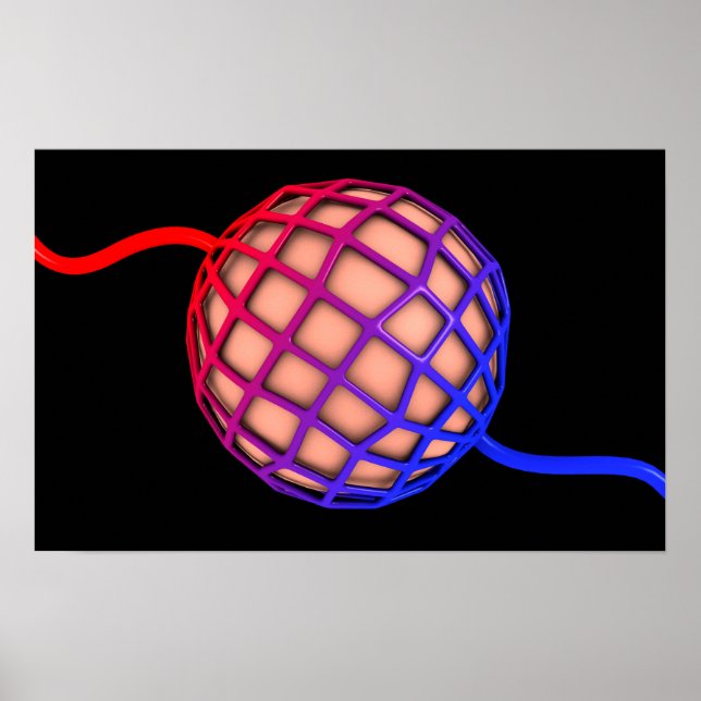 Poster Image Conceptuelle D'Alveolus (Devant)