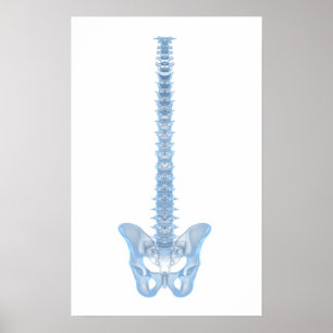 Poster Image Conceptuelle De La Fondatrice Humaine 6