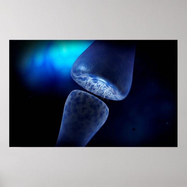 Poster Image Conceptuelle De La Synapse Du Neuron À L'Int (Devant)