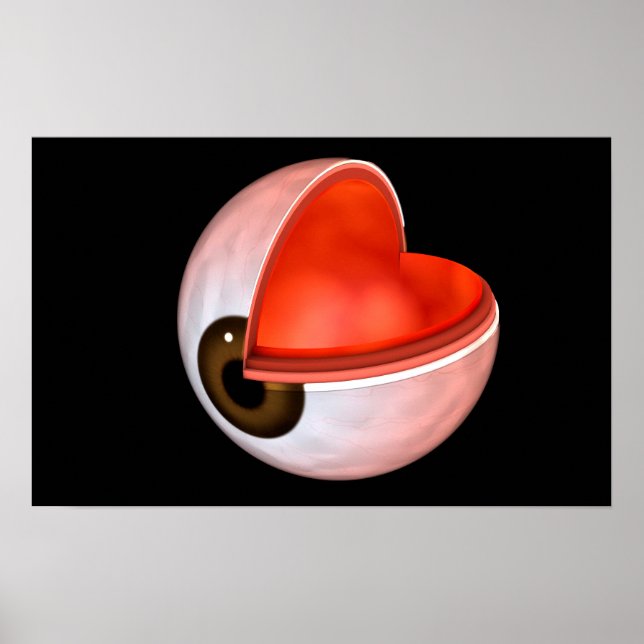 Poster Image Conceptuelle De L'Anatomie Des Yeux Humains  (Devant)