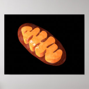 Poster Image Conceptuelle De Mitochondria 1