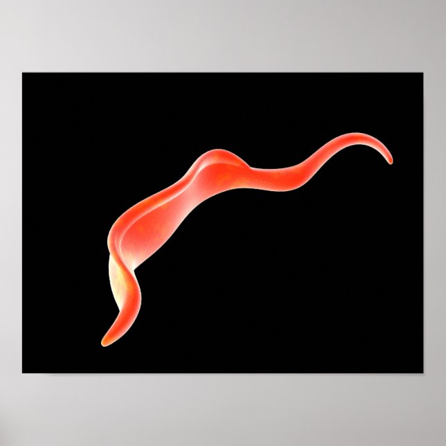 Poster Image Conceptuelle De Trypanosoma 2 (Devant)