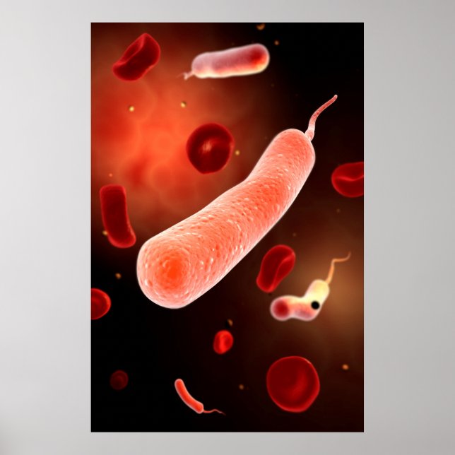 Poster Image Conceptuelle De Vibrio Cholerae 2 (Devant)