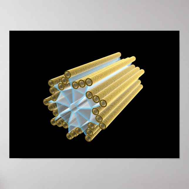 Poster Image Conceptuelle Du Centriole (Devant)