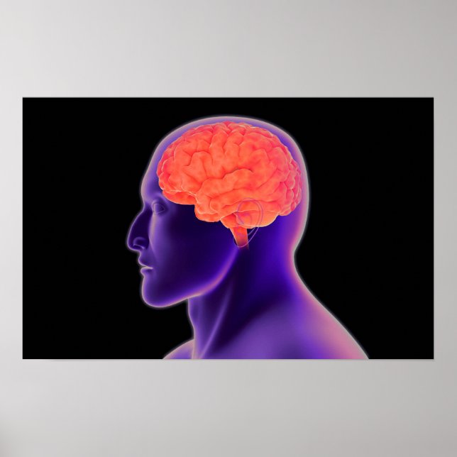 Poster Image Conceptuelle Du Cerveau Humain 1 (Devant)