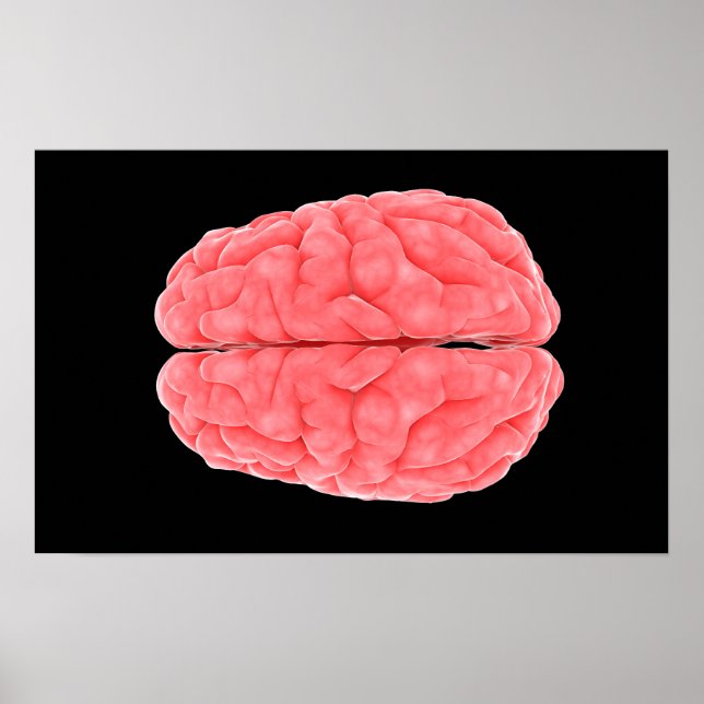 Poster Image Conceptuelle Du Cerveau Humain 10 (Devant)