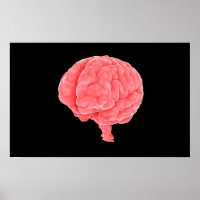 Image Conceptuelle Du Cerveau Humain 5