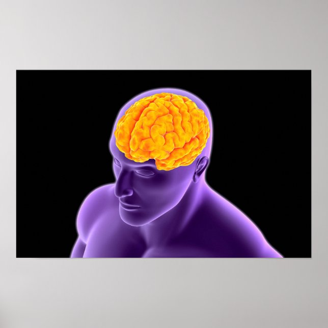 Poster Image Conceptuelle Du Cerveau Humain 8 (Devant)