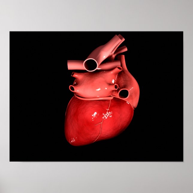 Poster Image Conceptuelle Du Coeur Humain 3 (Devant)