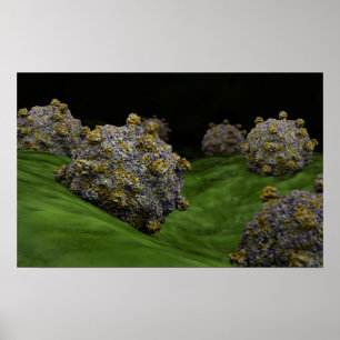 Poster Image Conceptuelle Du Coxsackievirus 1