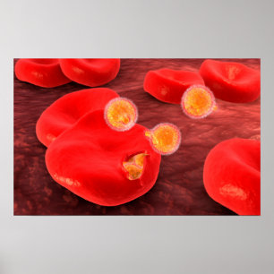 Poster Image Conceptuelle Du Paramecium 2
