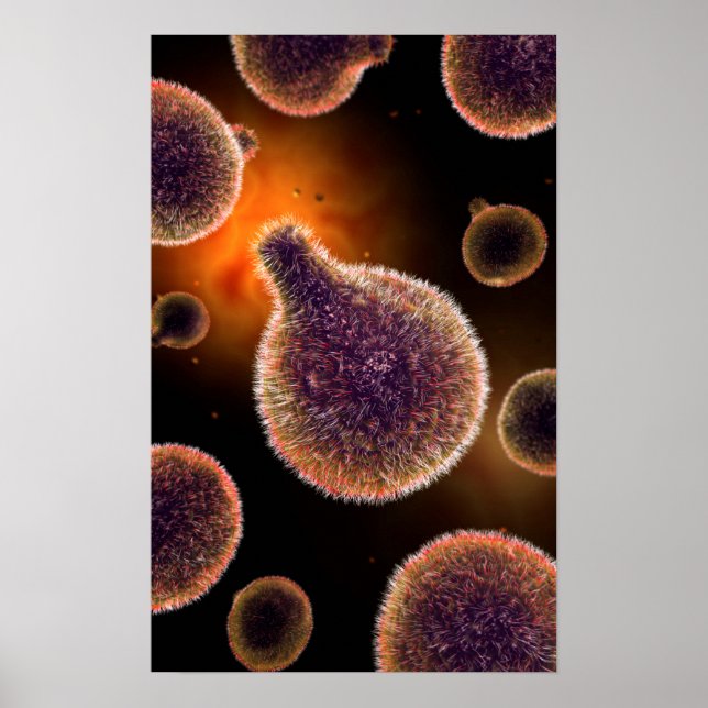 Poster Image Conceptuelle Du Plasmodium Provoquant Le Pal (Devant)