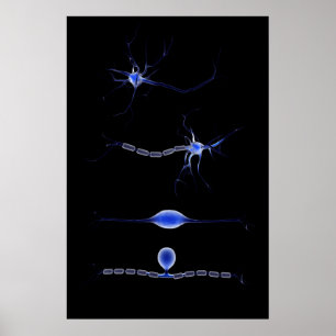 Poster Image Conceptuelle D'Un Neuron 1