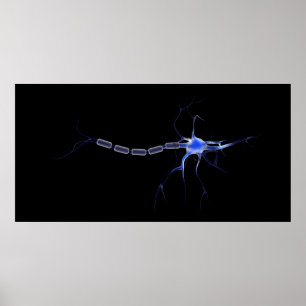 Poster Image conceptuelle d'un neurone 2