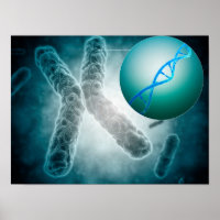 Image Conceptuelle D'Une Telomère Montrant L'ADN