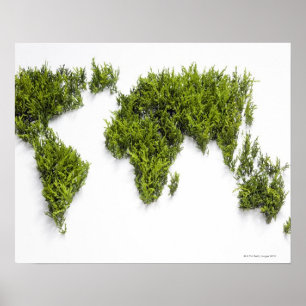 Poster image de carte du monde