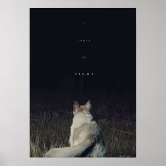 Poster Image de Night Movie