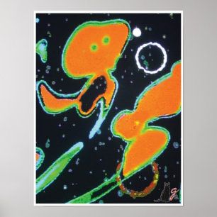 Poster Image de Punkin KC