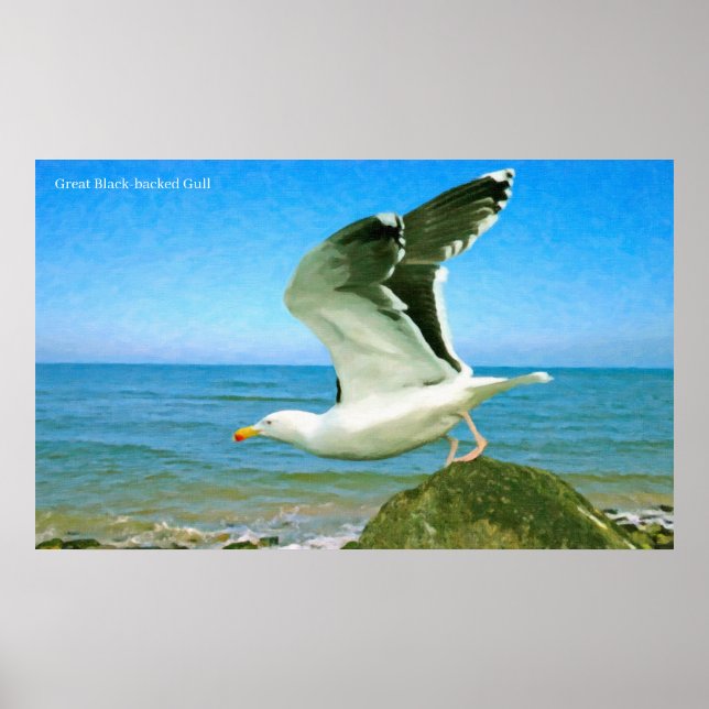 Poster Image d'oiseau pour l'affiche (Devant)