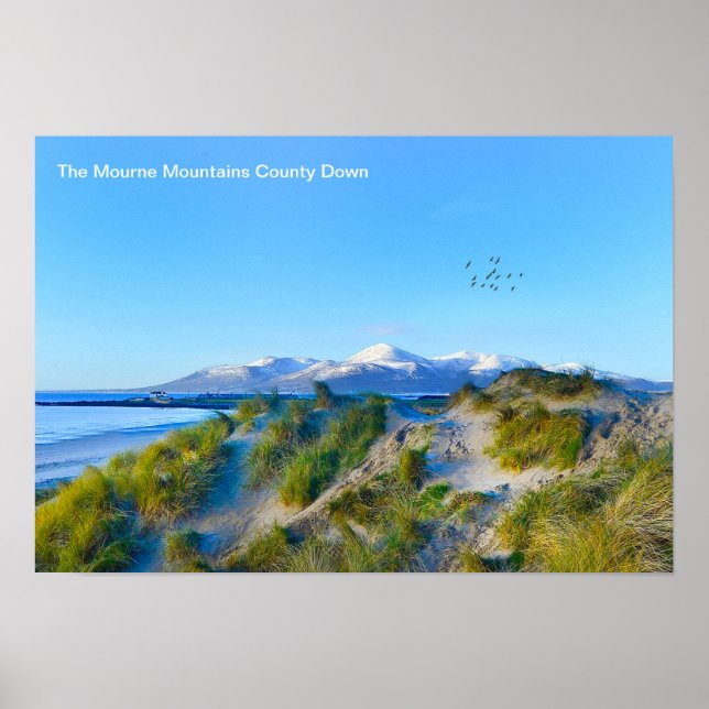 Poster Image irlandaise de l'affiche (Devant)