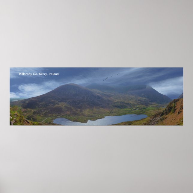 Poster Image irlandaise de l'affiche (Devant)