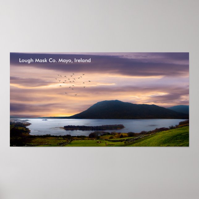 Poster Image irlandaise de l'affiche (Devant)