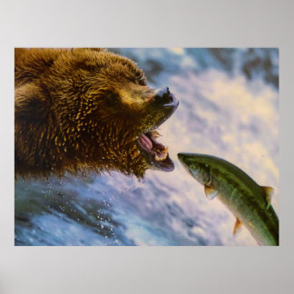 Poster Image saumon de l'ours grizzli Extraordinaire