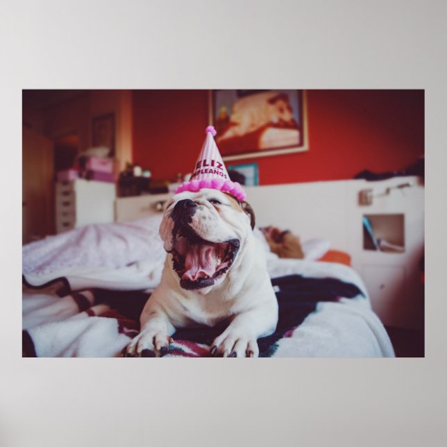 Poster Images Getty | British Bulldog (Devant)