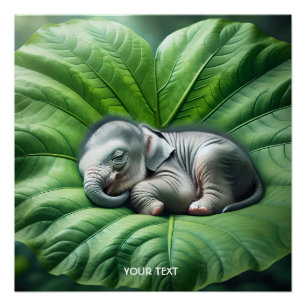 Poster Imaginaire Bébé mignon Eléphant Feuille
