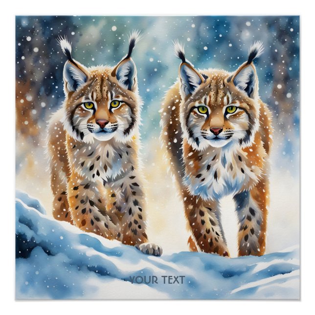 Poster Imaginaire Bébé Vivid Lynx Neige (Devant)