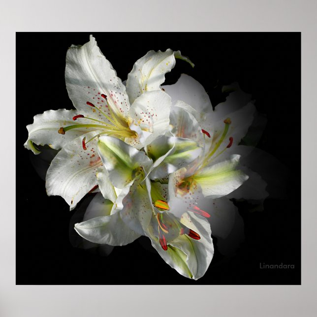 Poster Imaginaire blanc Lily (Devant)