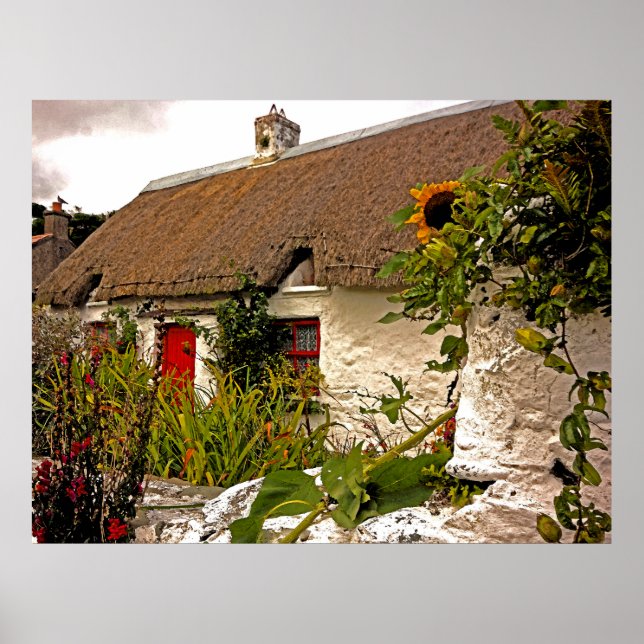 Poster Imaginaire chalet irlandais (Devant)