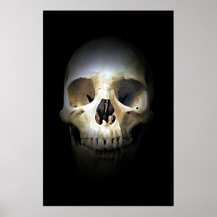 Poster Imaginaire crâne Art Rock Punk Métal lourd