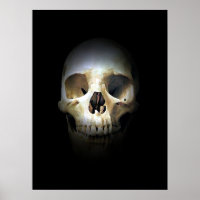 Imaginaire crâne Art Rock Punk Métal lourd